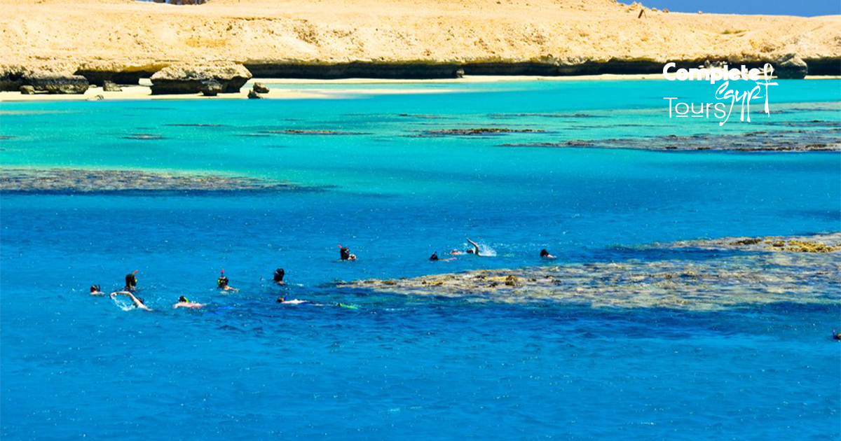 Giftun island trip snorkling