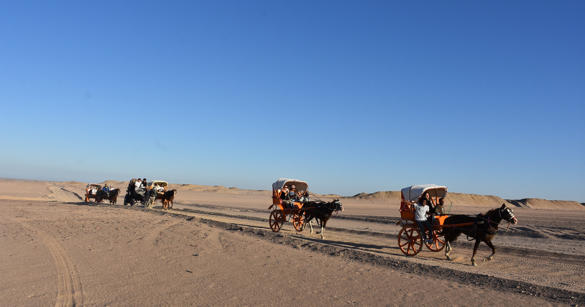 horse carriage from El Gouna