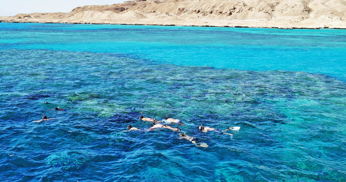 Ras Mohammed and the White Island Sharm El Sheikh snorkeling