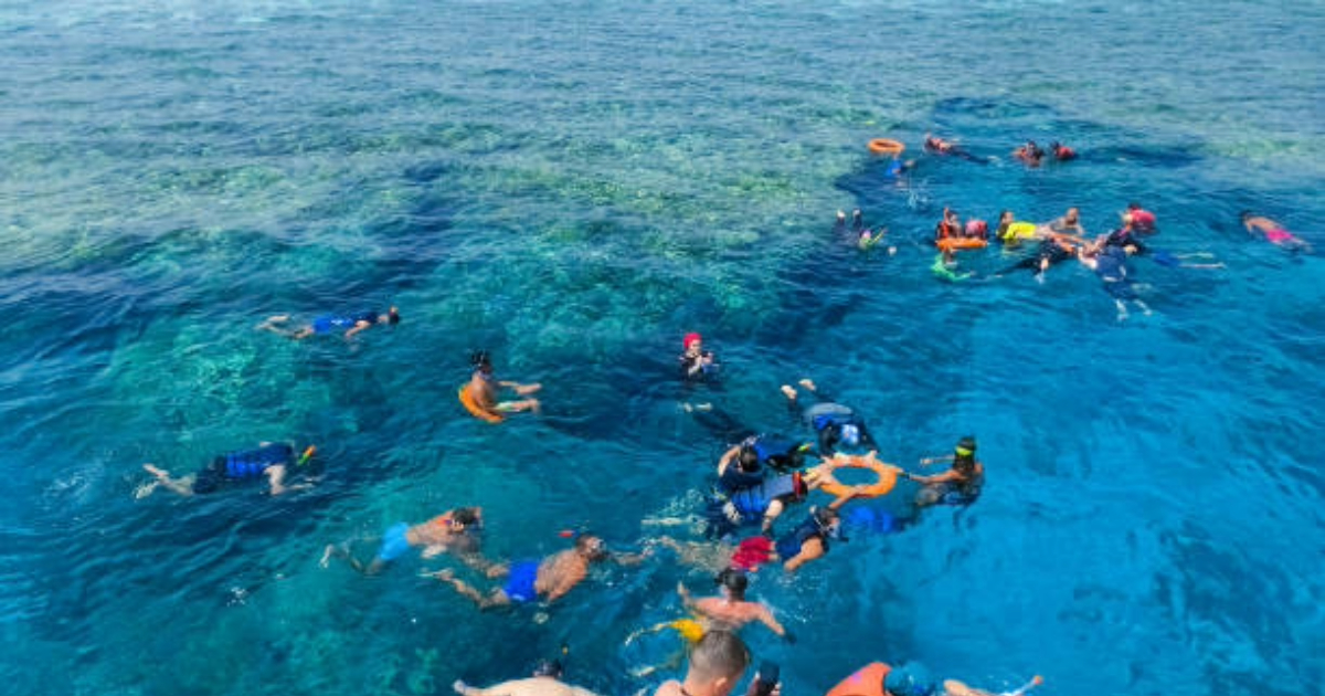 Tiran Snorkeling