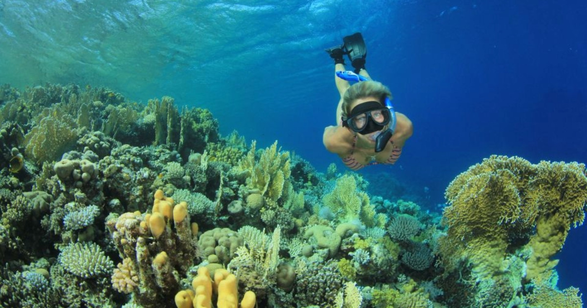 Marsa Mubarak snorkeling